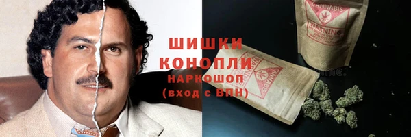 гидропоника Карталы