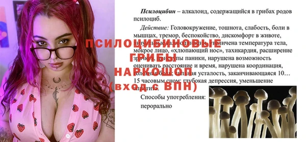 jwh Касимов