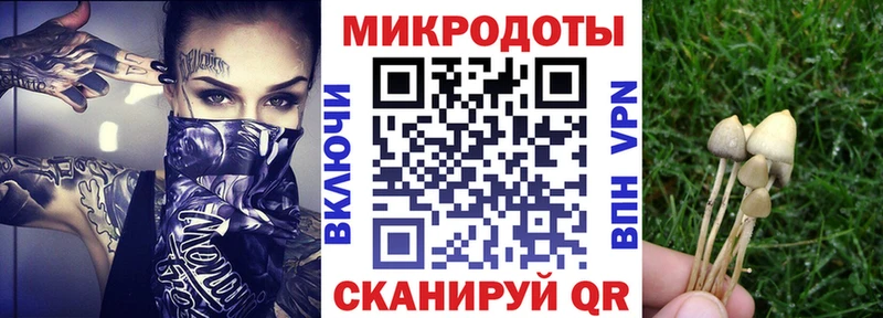 Псилоцибиновые грибы ЛСД  наркота  Новотитаровская 